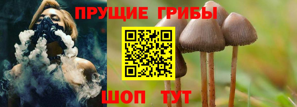 Югорск  Псилоцибиновые грибы Magic Shrooms  Вход с VPN  купить  цена  Псилоцибиновые грибы ЛСД 